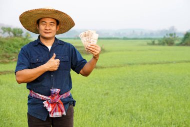 Asyalı bir çiftçinin portresi çeltik tarlasında, Tayland banknotlarının parasını elinde tutuyor. Başparmak yukarı. Mutlu çiftçi kar, gelir ve tarım desteği alıyor. Ekinlerle gurur duyuyorum..         