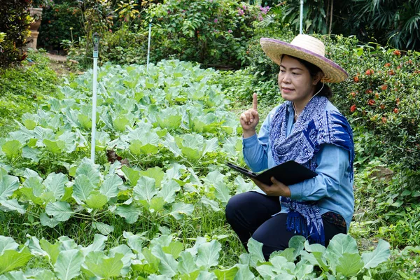 Asiatische Gärtnerin Hält Eine Intelligente Tablette Der Hand Wachstum Und — Stockfoto