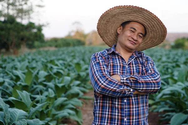 Handsome Asian man farmer is at green vegetable garden. Wear hat, plaid shirt,  cross arms on chest , smile, feels confident, happy. Satisfied in crops. Concept : Agricultural occupation.