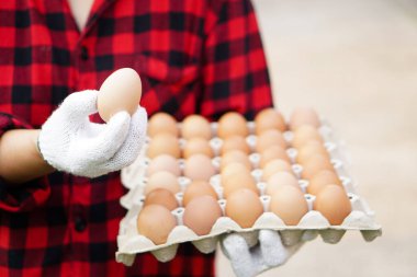 Kapalı çiftçinin elinde tavuk yumurtası ve tepside yumurta var. Konsept: Organik tarım, sağlıklı eko gıda üretir. Kötü ekonomide en iyi yemek..                
