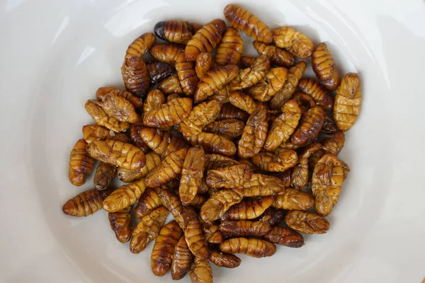 把蚕丝放在白盘上炸开 昆虫吃东西 奇怪的食物 非常受欢迎的小吃传统泰街食品 食用蠕虫 高蛋白 — 图库照片