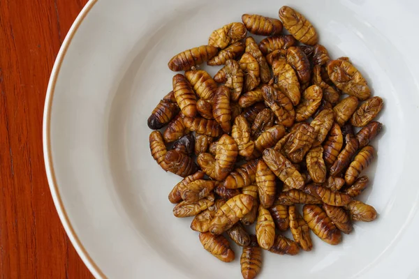 Closeup Bichos Seda Fritos Placa Branca Conceito Insetos Comendo Comida — Fotografia de Stock