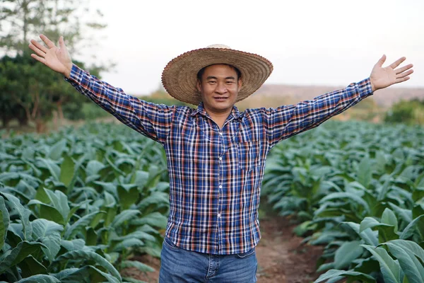 Šťastný Asijský Farmář Zahradě Zvedněte Ruce Usmějte Podívej Kameru Buďte — Stock fotografie