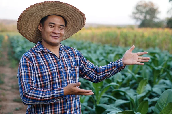 Retrato Feliz Hombre Asiático Agricultor Hace Gesto Para Presentar Jardín — Foto de Stock