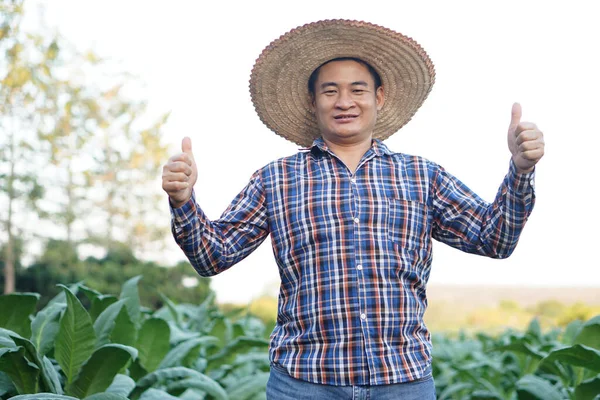 Portrait Asian Male Farmer Garden Thumb Show His Satisfaction Crops — Foto de Stock
