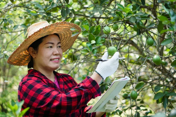 Glückliche Asiatische Gärtnerin Ist Garten Überprüfung Von Qualität Und Krankheiten — Stockfoto