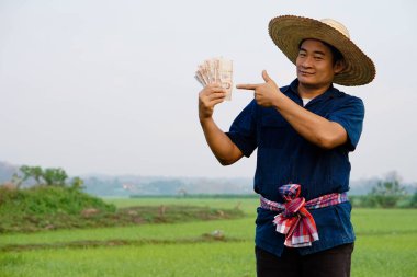 Mutlu Asyalı çiftçi çeltik tarlasında, Tayland paralarını elinde tutuyor. Mutlu çiftçi kar, gelir ve tarım desteği alıyor. Ekinlerle gurur duyuyorum..                