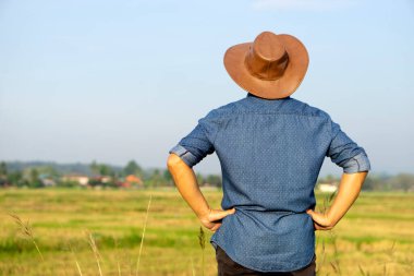 Deri şapkalı, mavi gömlekli ellerini kalçasına koyup çeltik tarlasında duran bir adam. Yaşam tarzı, doğayla yaşam tarzı. Tarım sektörü ve yatırım hakkında düşünün ve planlar yapın..