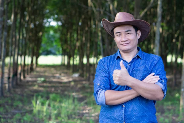 Yakışıklı Asyalı bahçıvanın portresi şapka takar, mavi gömlek giyer, başparmağını kaldırır, kendine güvenir, orman bahçesinde durur. Kavram: ormancı. Orman koruma. Bahçe olarak büyüyen ekonomi ağaçları.