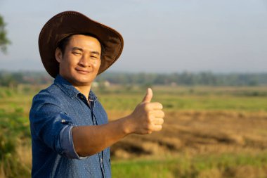 Yakışıklı Asyalı çiftçi, şapka takıyor, başparmağını kaldırıyor, çeltik tarlasında duruyor, kendinden emin. Metin veya reklam eklemek için boşluk kopyala. Tarım işgali kavramı. Başarılı bir çiftçi. Memnun oldum.
