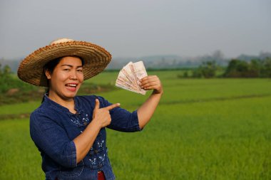 Asyalı çiftçi kadın çeltik tarlasında, Tayland paralarını elinde tutuyor. Heyecanlı ve mutlu hissediyorum. Çiftçi, kar, gelir ve tarımla para kazanmaktan mutlu. Ekinlerle gurur duyuyorum..                  