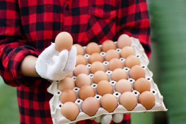 Yakın çiftçi çiftlikten bir tepsi yumurtayı elinde tutuyor. Organik tarım kavramı, çiftçiler sağlıklı ekolojik gıda üretiyor. Kötü ekonomide en iyi yemek..    
