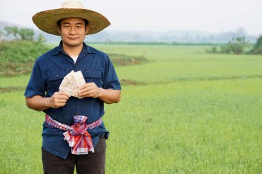 Asyalı bir çiftçinin portresi çeltik tarlasında, Tayland banknotlarının parasını elinde tutuyor. Mutlu çiftçi kar, gelir ve tarım desteği alıyor. Ekinlerle gurur duyuyorum..                