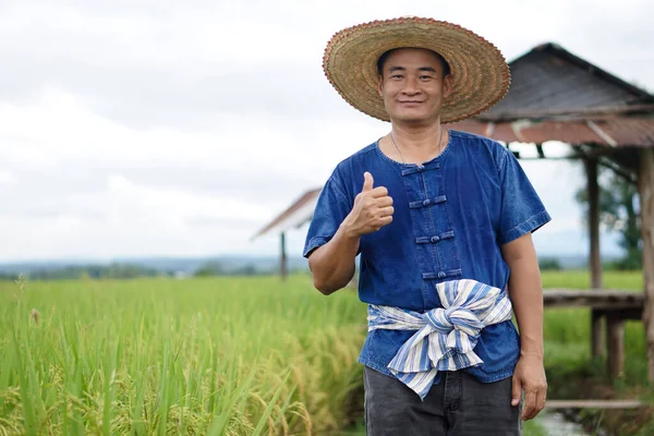 Retrato Del Feliz Agricultor Asiático Tailandés Usa Sombrero Muestra Pulgar — Foto de Stock