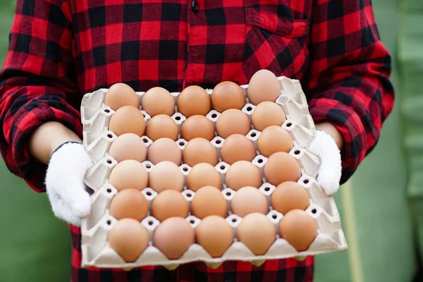 Çiftçi yumurta tepsisini tutuyor. Organik tarım kavramı, çiftçiler sağlıklı ekolojik gıda üretiyor. Kötü ekonomide en iyi yemek..          