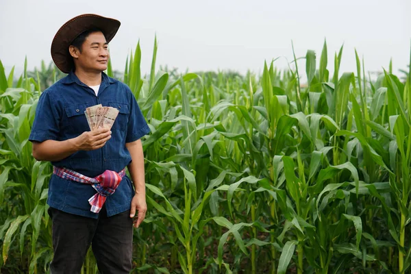 Азиатский Фермер Кукурузном Поле Держит Тайские Деньги Банкнотах Концепция Счастливый — стоковое фото