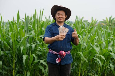 Asyalı çiftçi mısır bahçesinde, Tayland paralarını elinde tutuyor. Başparmak yukarı. Kendinden emin hissediyor. Çiftçi kar, gelir ve tarım desteği alıyor.    