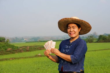 Asyalı çiftçi kadın çeltik tarlasında, Tayland paralarını elinde tutuyor. Gülümse, kameraya bak. Çiftçi, kar, gelir ve tarımla para kazanmaktan mutlu. Ekinlerle gurur duyuyorum..        