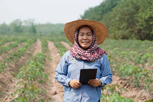 Asian Woman Farmer Cassava Plantation Rural Thailand Holds Smart Tablet — Foto de Stock