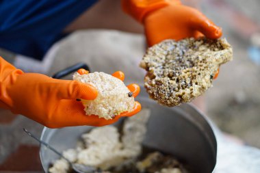 Eller eldiven giyer tencerede arı kovanını tutar, arı kovanından arı böceklerini seçer, pişirme ya da bal yapma işlemine hazırlanır. Tayland usulü yerel yemek pişirme.                                  