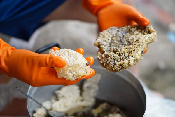 Eller eldiven giyer tencerede arı kovanını tutar, arı kovanından arı böceklerini seçer, pişirme ya da bal yapma işlemine hazırlanır. Tayland usulü yerel yemek pişirme.                                  