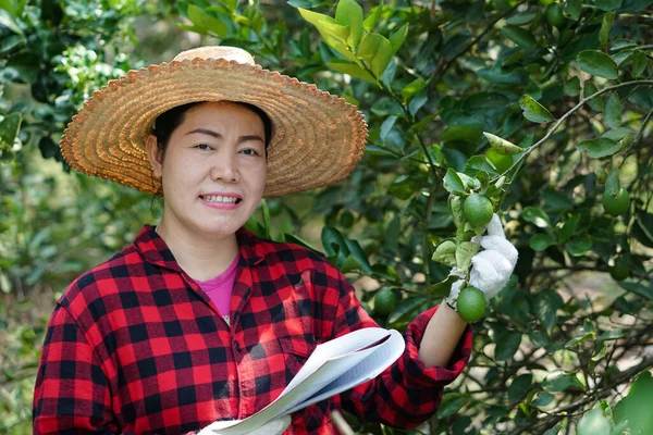 Glückliche Asiatische Gärtnerin Ist Garten Überprüfung Von Qualität Und Krankheiten — Stockfoto