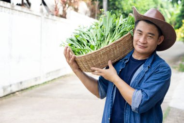 Yakışıklı Asyalı çiftçinin portresi şapka takıyor ve sebze sepetini omuzunda tutuyor. Çiftçi kavramı: pişirmek ve satmak için taze organik sebzeler yetiştirmek, eve teslim etmek. Tayland yaşam tarzı