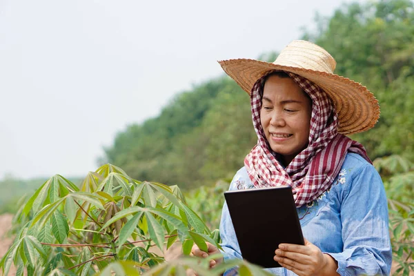 Asiatiska Kvinnliga Bonde Innehar Smart Tablett Kassava Plantage För Att — Stockfoto