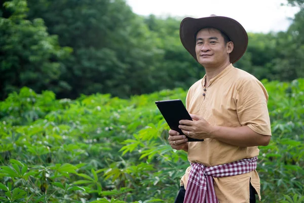 Hombre Asiático Guapo Agricultor Está Jardín Mandioca Tiene Tableta Inteligente — Foto de Stock