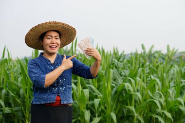Asyalı çiftçi kadın mısır bahçesinde, Tayland paralarını elinde tutuyor. Heyecanlı ve mutlu hissediyorum. Çiftçi, kar, gelir ve tarımla para kazanmaktan mutlu. Ekinlerle gurur duyuyorum..                  