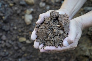 Elleri kuru toprağı tutuyor. Toprak kalitesini kontrol etmek ve incelemek, tarım ekimi hakkında çalışma ve araştırma yapmak. Çevre Ekolojisi