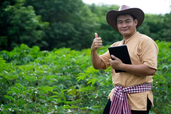 Handsome Asian man farmer is at cassava garden, holds smart tablet to check quality of growth and plants disease. Thumbs up.  Plan agricultural market online. Concept : Smart farmer. Technology agriculture.