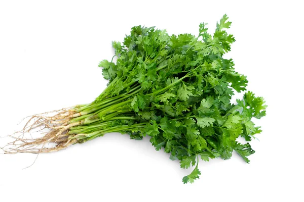 Φρέσκα Λαχανικά Κόλιανδρου Λευκό Φόντο Έννοια Βιολογικό Φυτικό Συστατικό Τροφίμων — Φωτογραφία Αρχείου