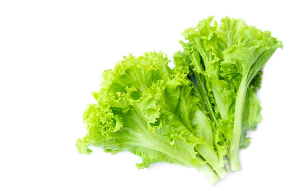 白色背景的新鲜有机绿色沙拉蔬菜 有机食品配料 可作为新鲜蔬菜食用或用于装饰菜肴与其他食物 健康饮食 农作物 — 图库照片