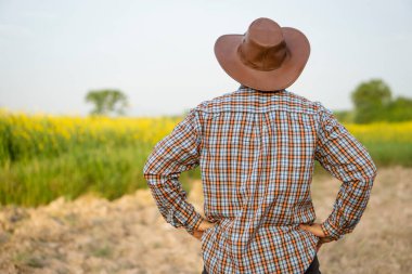 Back view of farmer wears hat and plaid shirt, hands on hips, stands at garden. Concept : Lifestyle, Live with nature. Think and plans  about agriculture business and investment. sight seeing nature. clipart
