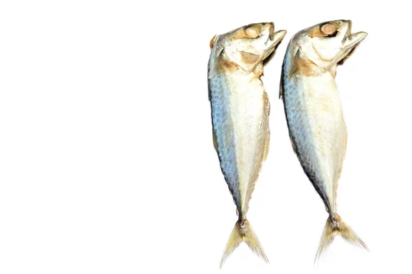 Две Приготовленные Пару Скумбрии Рыбы Приготовления Пищи Изолированы Белом Фоне — стоковое фото