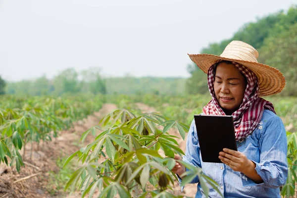 Asian woman farmer is at  cassava plantation in rural of Thailand, holds smart tablet to check and record quality of growth. Concept : smart farmer use wireless technology in agriculture