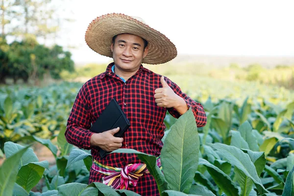 Asijský Farmář Zahradě Nosí Klobouk Červenou Kostkovanou Košili Drží Elegantní — Stock fotografie