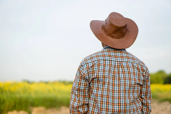 Back view of farmer wears hat and plaid shirt, stands at garden. Concept : Lifestyle, Live with nature. Think and plans  about agriculture business and investment. Sight seeing nature.