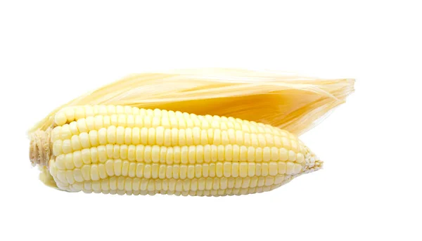 Peeled Streamed Corn Isolated White Background Thai Native Corn Cooked — Stock Photo, Image