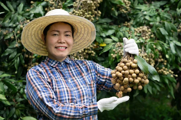 Porträt Einer Glücklichen Asiatischen Bäuerin Auf Einem Obstgarten Trägt Hut — Stockfoto