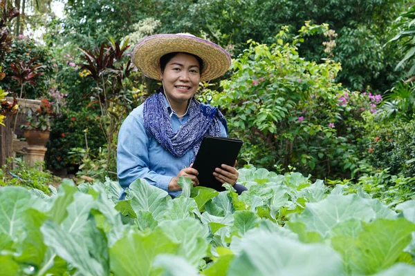 Glückliche Gärtnerin Wird Über Wachstum Und Krankheiten Von Gemüse Garten — Stockfoto