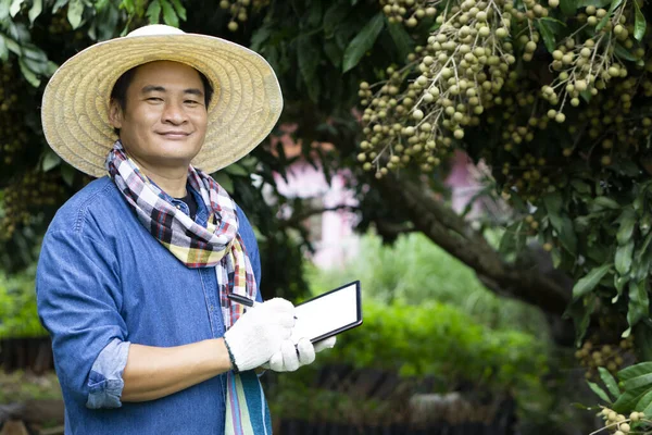 Handsome Asian man farmer is at longan orchard, wears hat, holds smart tablet. Concept : Smart farmer, use technology wireless internet to search and do research about agriculture. Export Thai fruits.