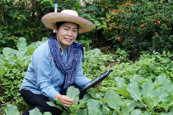 Happy female gardener is survey about growth and disease of vegetables in garden by using smart tablet. Concept : Agricultural research. Smart farmer. Using technology to manage crops.