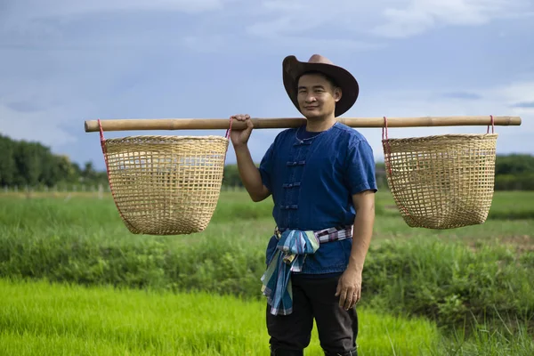 Handsome Asian Man Farmer Carries Baskets Shoulders Work Paddy Field — Stockfoto