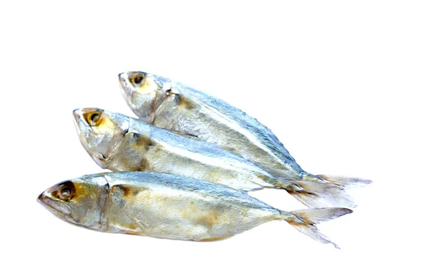 Соленая Рыба Макрель Приготовления Пищи Изолированы Белом Фоне Концепция Сохранение — стоковое фото
