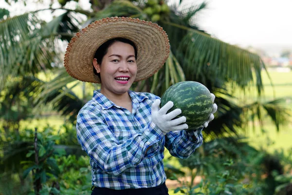 Asiatische Gärtnerin Trägt Hut Kariertes Hemd Und Abends Halten Haine — Stockfoto