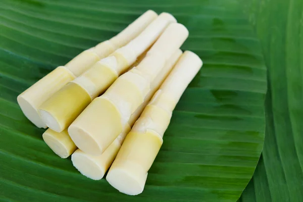 Pile Boiled Bamboo Shoots Green Banana Leaf Ready Eat Cook — Stock fotografie