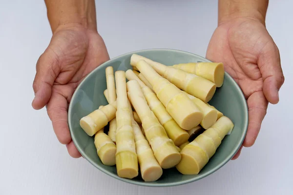 Closeup Hands Hold Plate Boiled Bamboo Shoots Local Thai Food — Stock fotografie