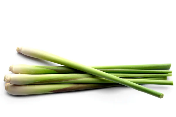 Fresh Organic Lemongrass Isolated White Background Concept Thai Herb Ingredient — Stock Photo, Image